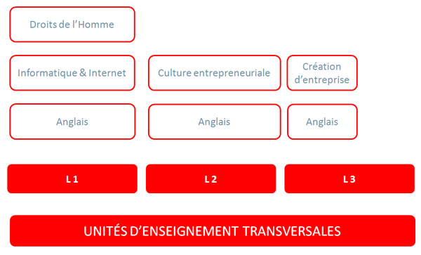 ue transversales